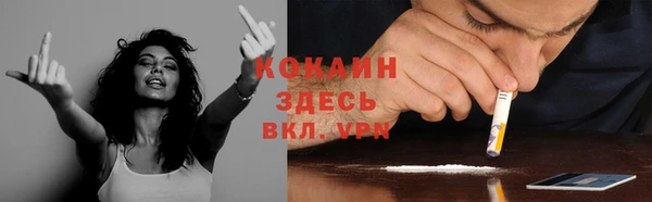 мдпв Снежинск