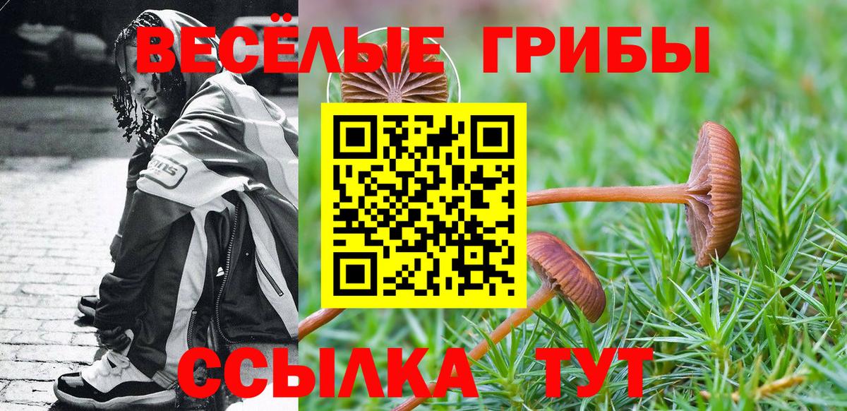 Галлюциногенные грибы Cubensis  Вход с VPN  Губкинский 