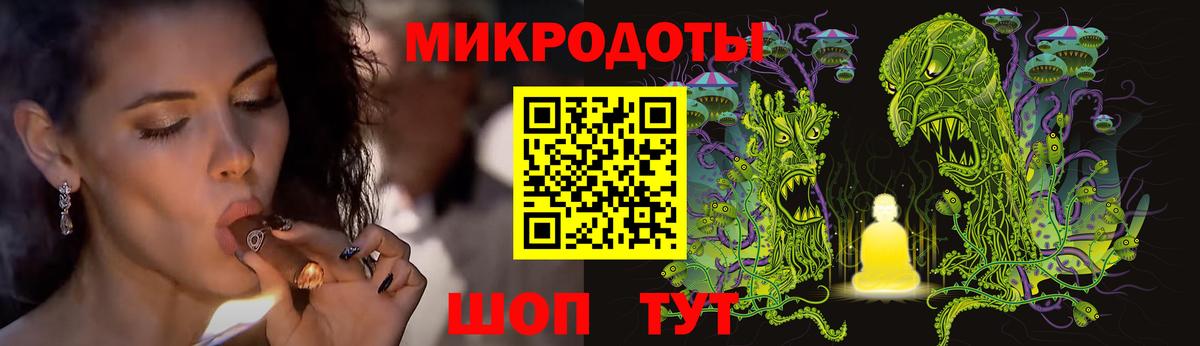 Галлюциногенные грибы Psilocybe Губкинский
