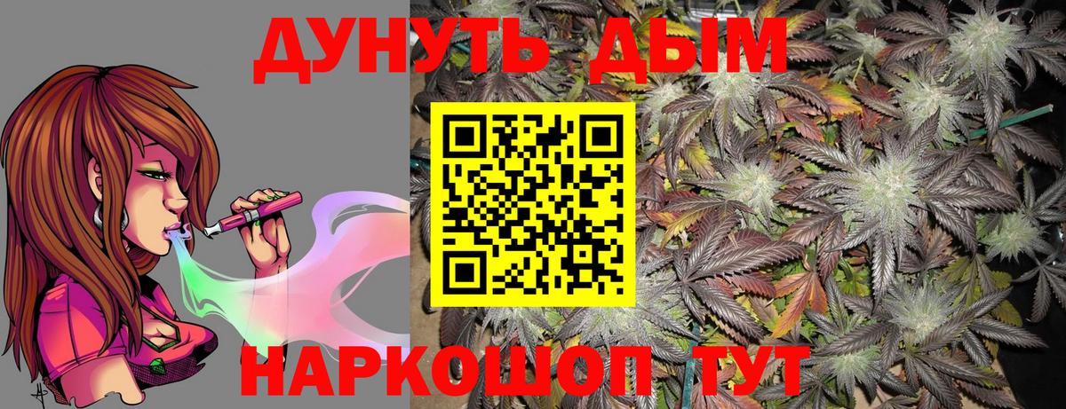 Конопля Bruce Banner  Вход с VPN  Конопля White Widow  Губкинский  Каннабис семена 